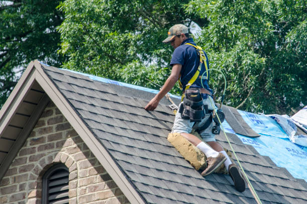 Best Roof Maintenance Services  in Olivarez, TX